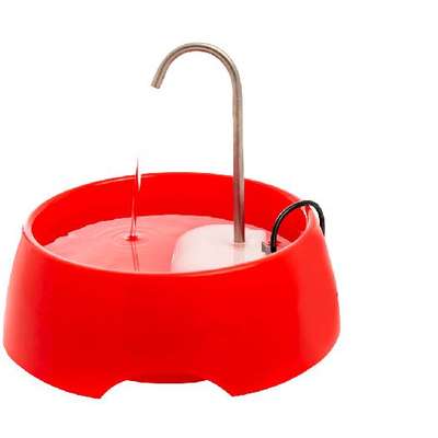 Amicus Aqua Mini Bivolt Red Drinking Fountain