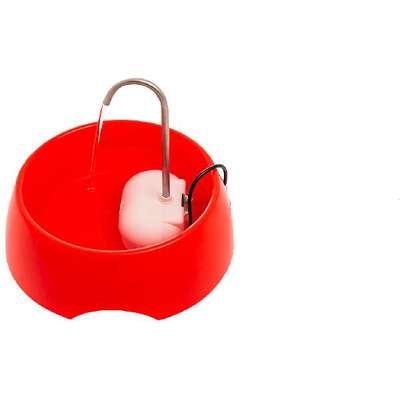 Amicus Aqua Mini Bivolt Red Drinking Fountain